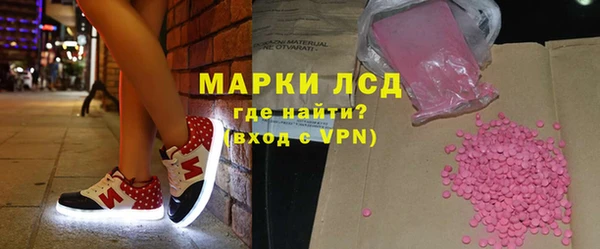 сатива Новозыбков