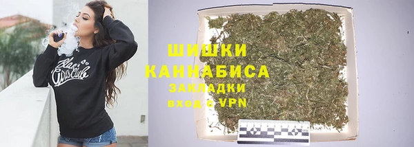 дживик Няндома