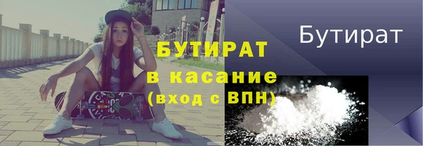 дживик Няндома