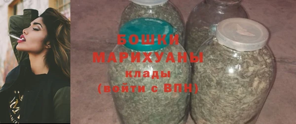 дживик Няндома