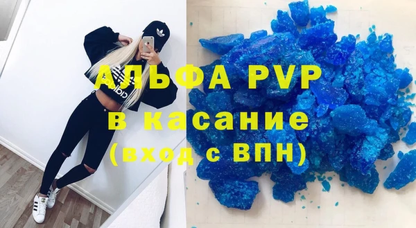 дживик Няндома