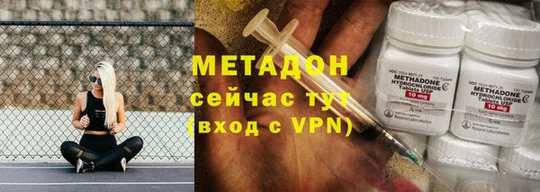 дживик Няндома