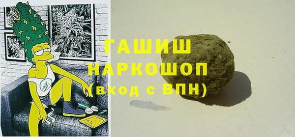 дживик Няндома