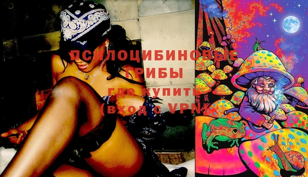 дживик Няндома