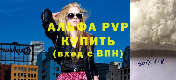 дживик Няндома